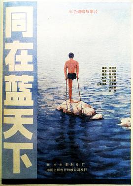 魔法纪录影视海报