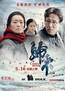 钢琴家完整版免费观看影视海报